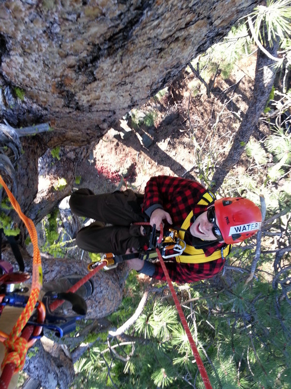 View this technical rope tree rescue training image in Crux Rescue's training gallery to see what they do while providing certified technical rescue training courses for NFPA Rope Rescue Technician and Swiftwater Rescue Technician certification.